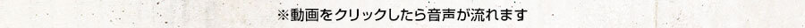 動画をクリックしたら音声が流れます