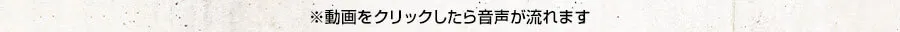 動画をクリックしたら音声が流れます