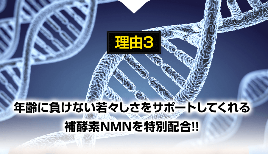 NMNの追加配合