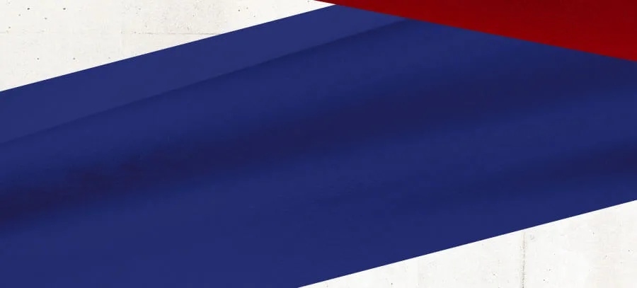 シトルリンはアミノ酸の一種でスイカの中から発見されました