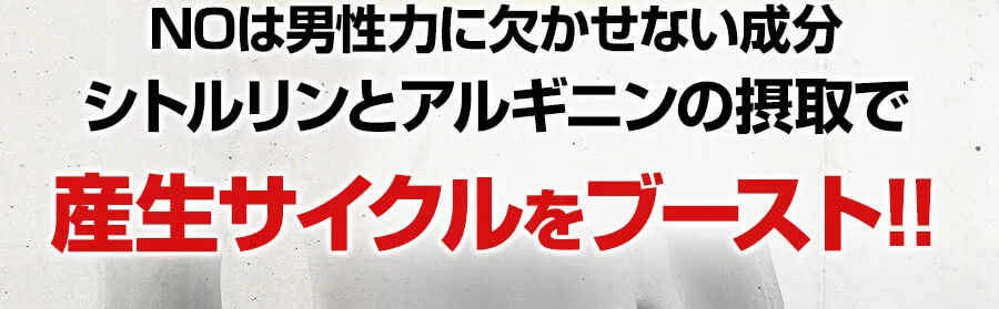 シトルリンとアルギニンの接種で産生サイクルをブースト！！