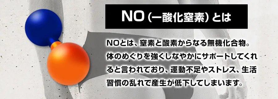 NOとは、窒素と酸素からなる無機化合物