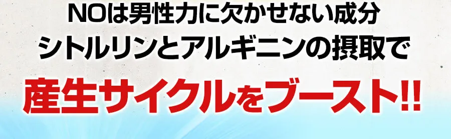 シトルリンとアルギニンの接種で産生サイクルをブースト！！