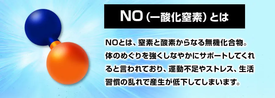 NOとは、窒素と酸素からなる無機化合物