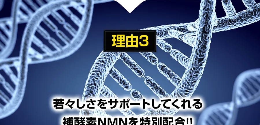 NMNの追加配合