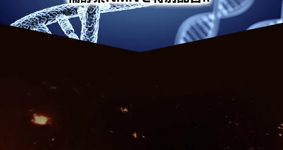 世界も注目するＮＭＮで輝かしい未来をつかめ！！