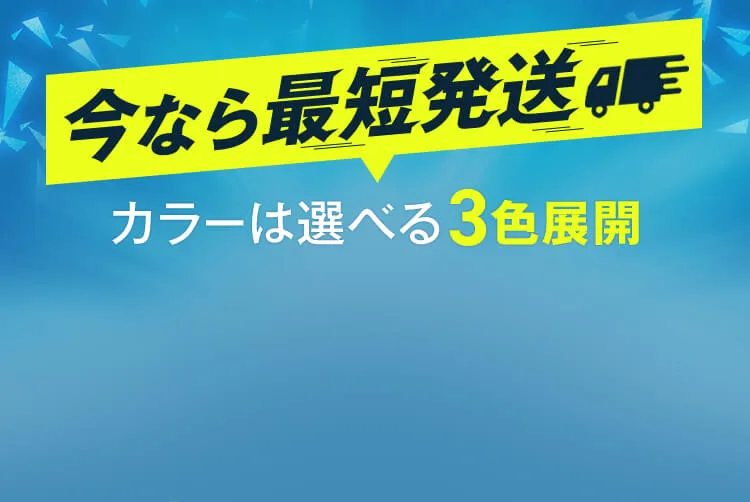 今なら最短発送