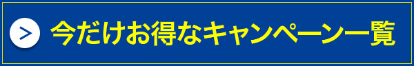 レディエンス ティティプル 日本サプリメントフーズ公式オンラインショップ